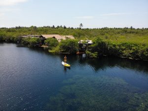 created by dji camera